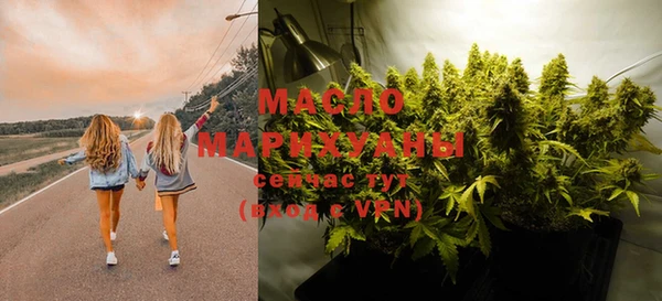 крисы Бронницы