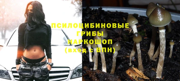 амфетамин Богданович