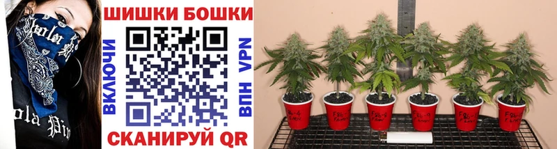 Шишки марихуана SATIVA & INDICA  Кохма 